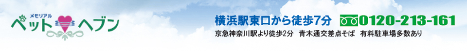 ブログイメージ ブログイメージ