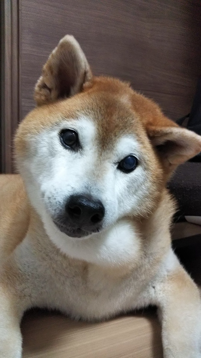 思い出 思い出