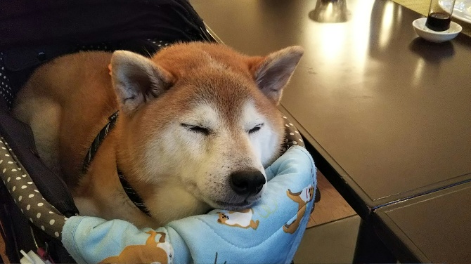思い出 思い出