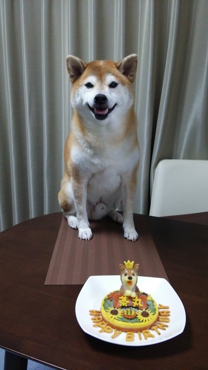 思い出 思い出