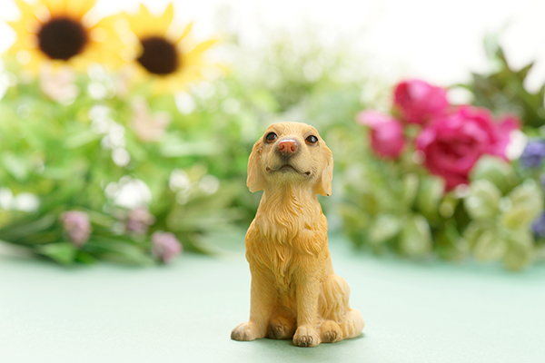 犬火葬 横浜