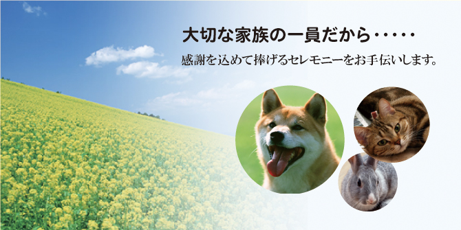 大切なペットのご葬儀なら、横浜駅東口徒歩7分のペットヘブンにお任せください。
